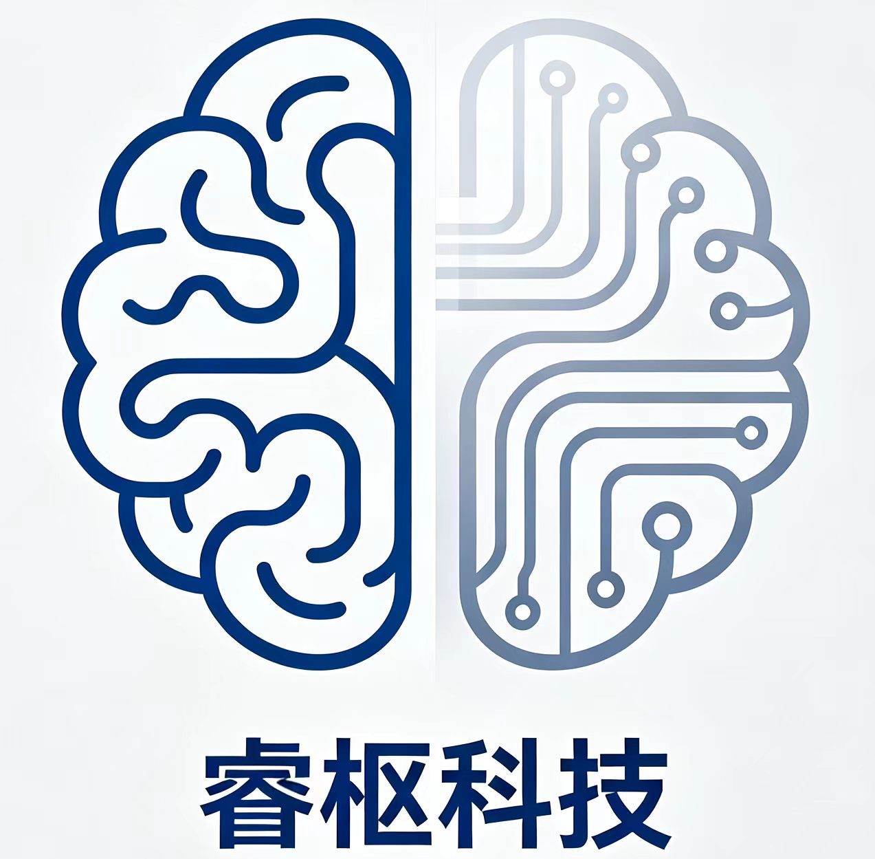 睿枢科技